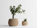 Modern Ribbed Vase -Series 4
