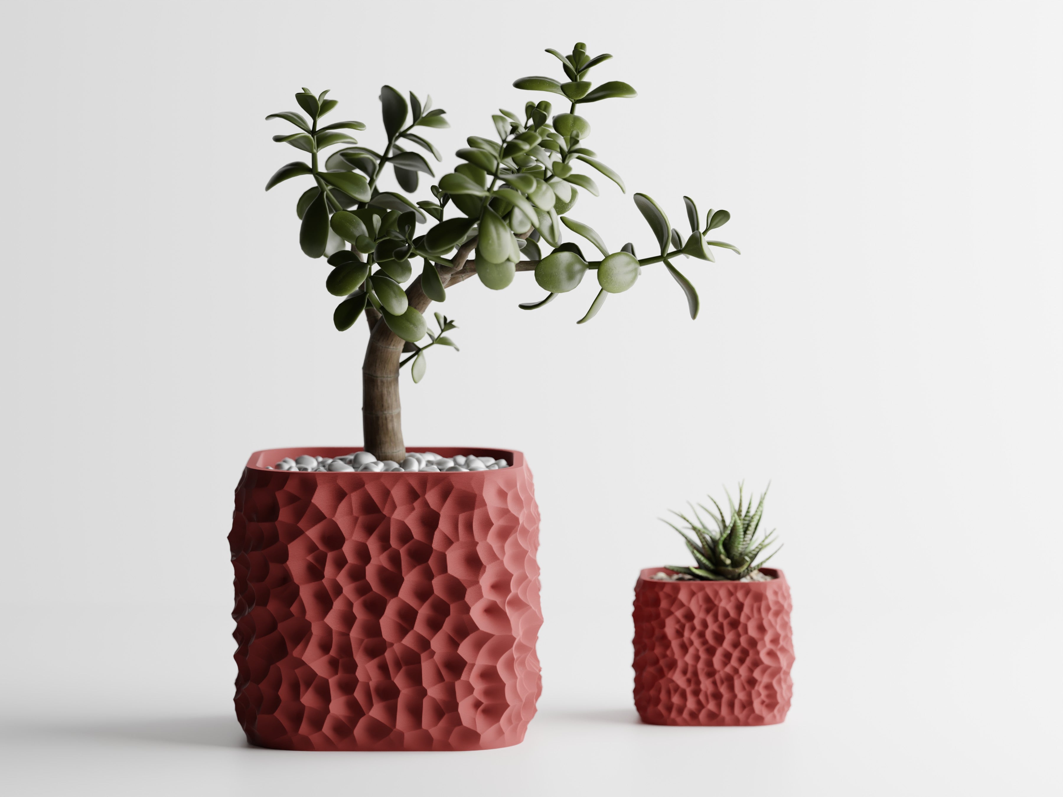 Terraforma