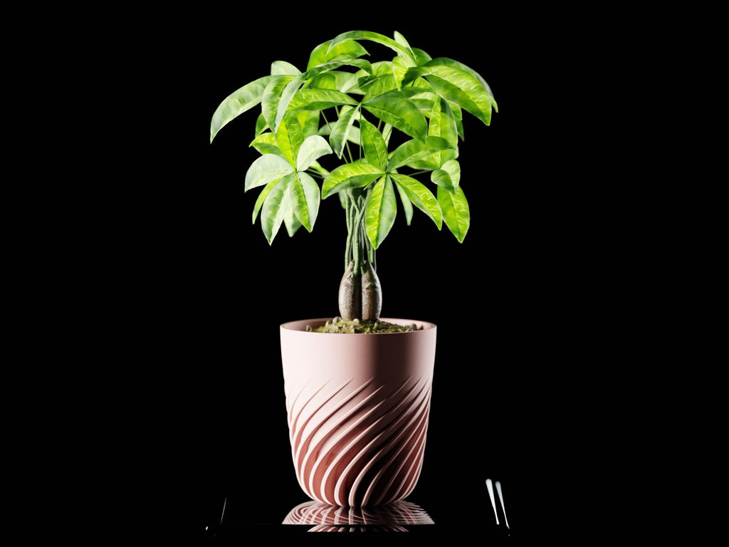 Ventra