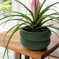Avex Planter