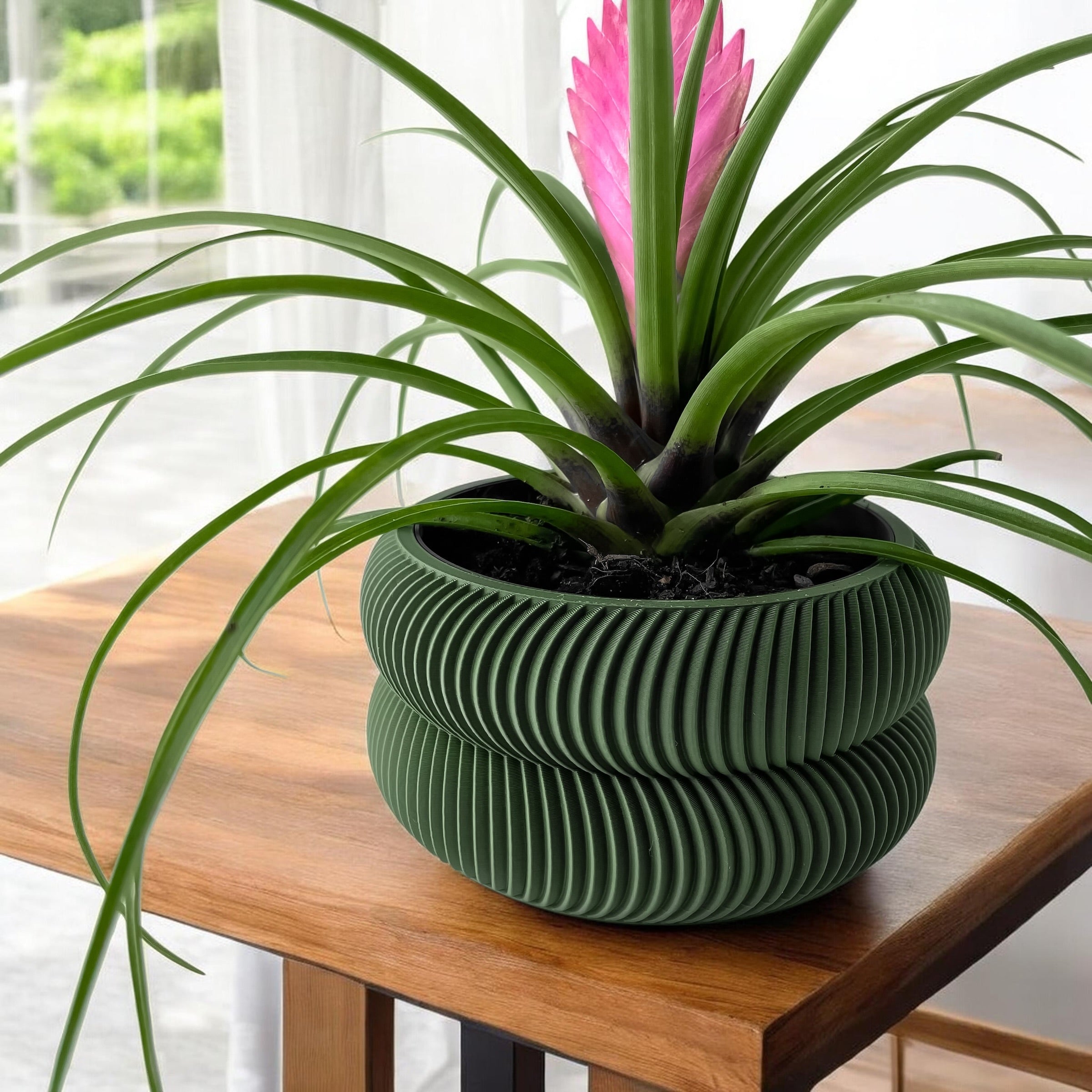 Avex Planter