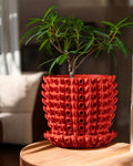 Barnacle Planter Pot