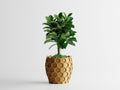 Beehavia – Buzzing with style. Rooted in nature.