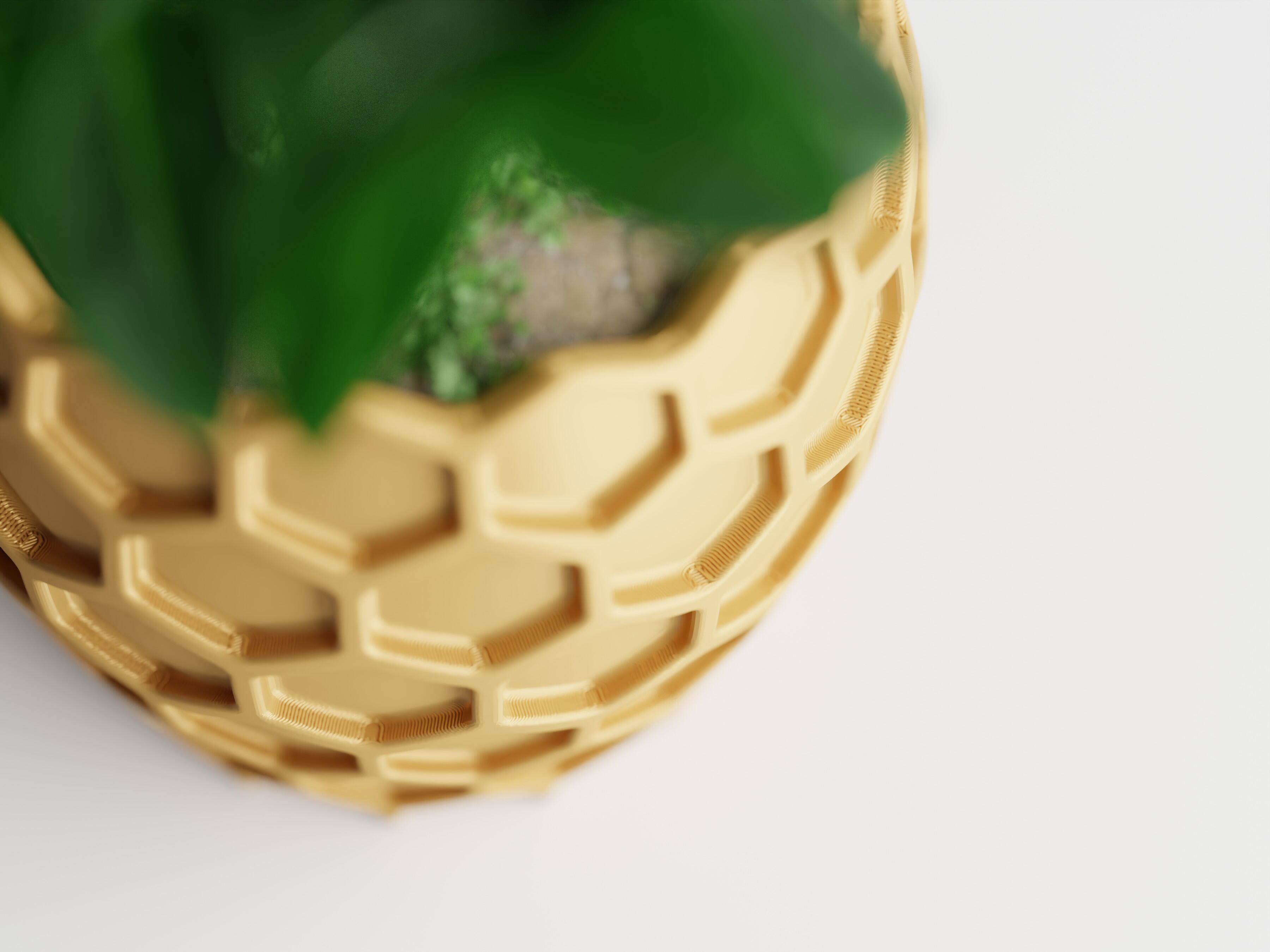 Beehavia – Buzzing with style. Rooted in nature.