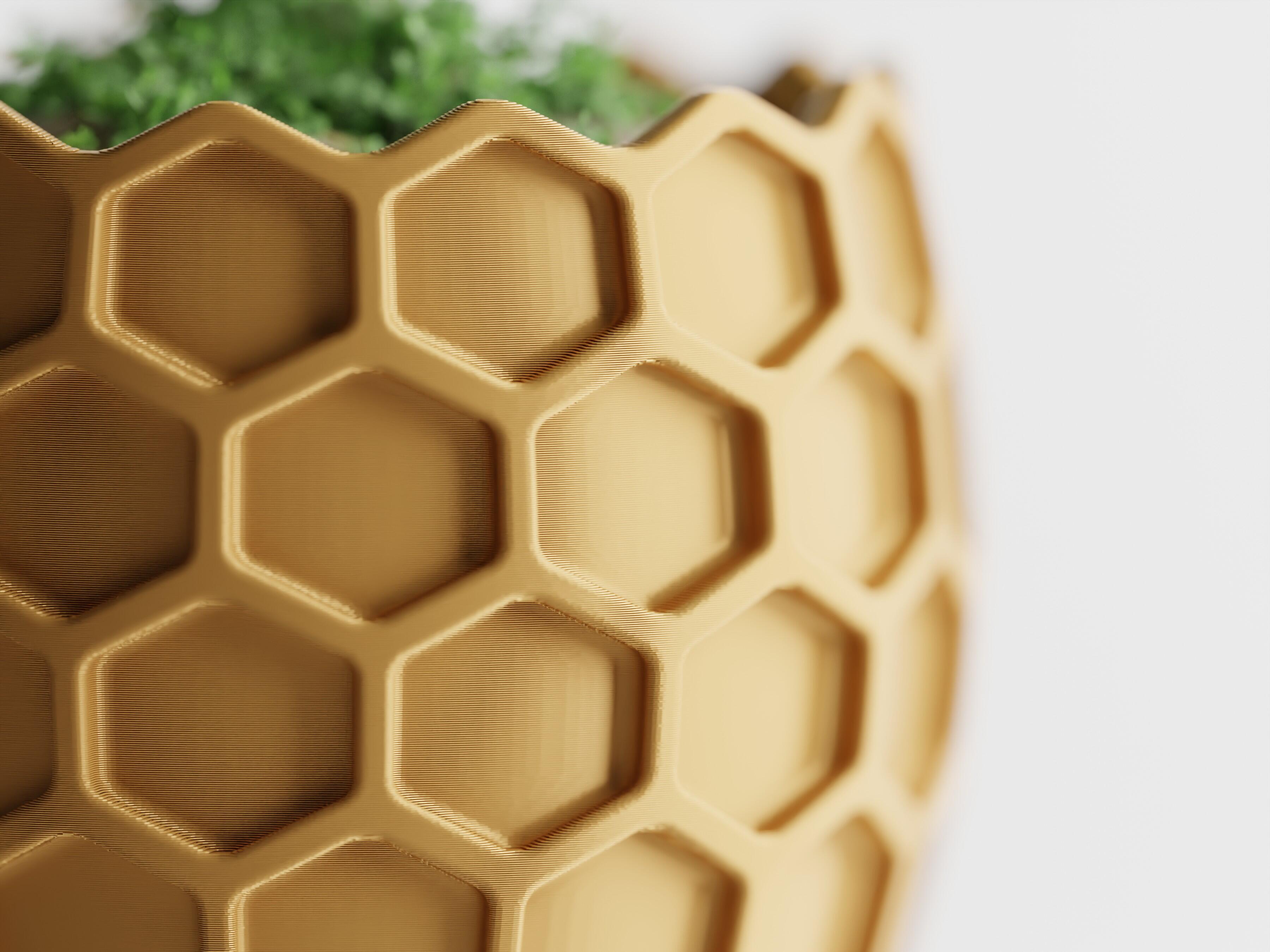 Beehavia – Buzzing with style. Rooted in nature.