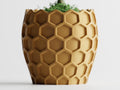 Beehavia – Buzzing with style. Rooted in nature.