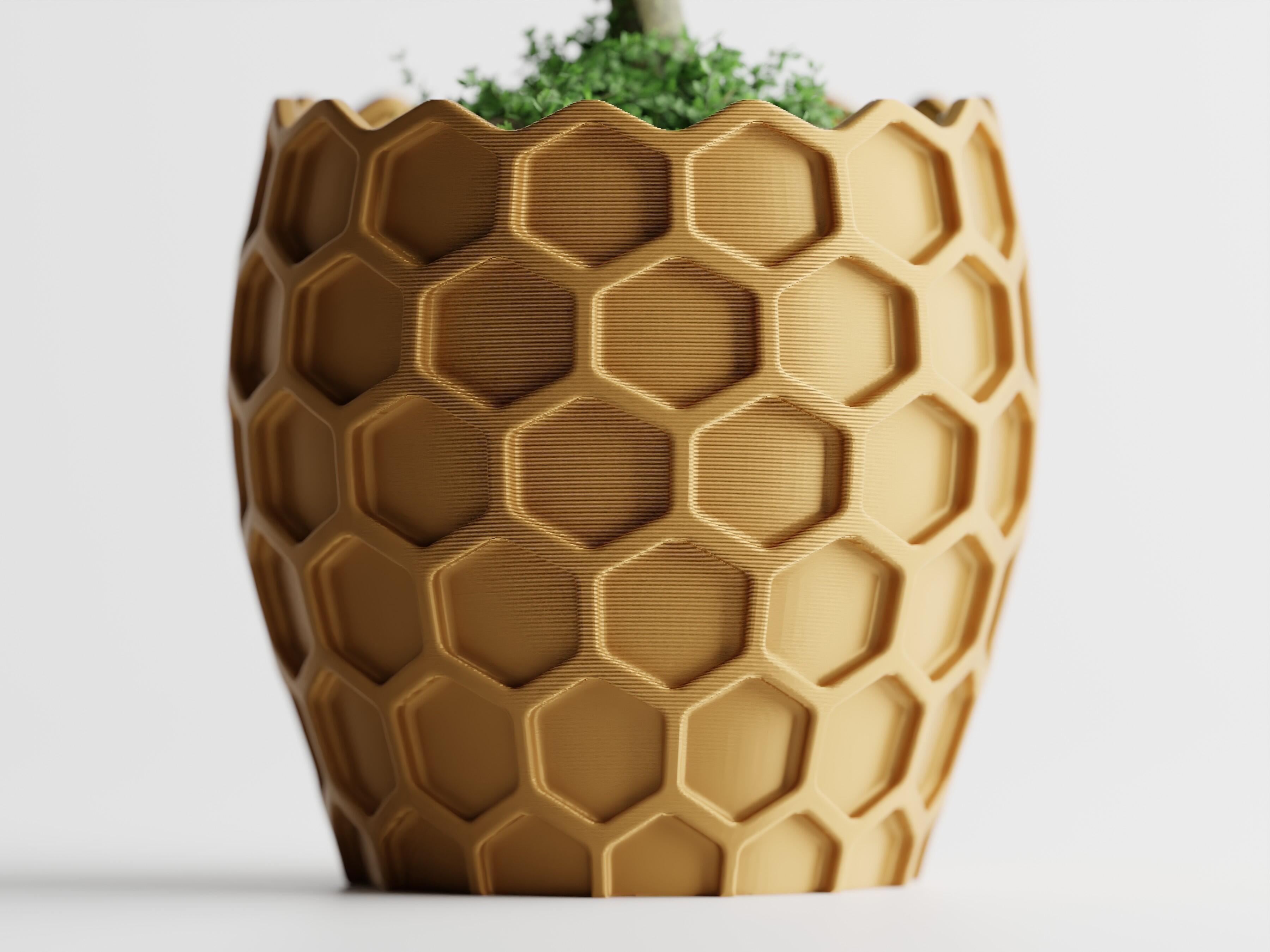 Beehavia – Buzzing with style. Rooted in nature.