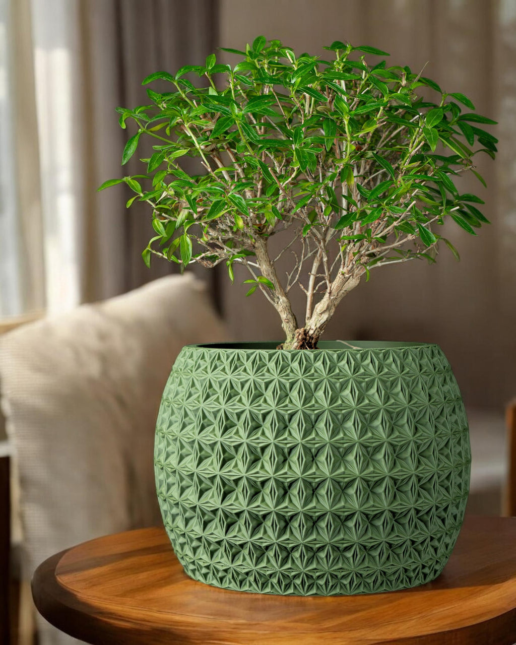 Burst Planter Pot