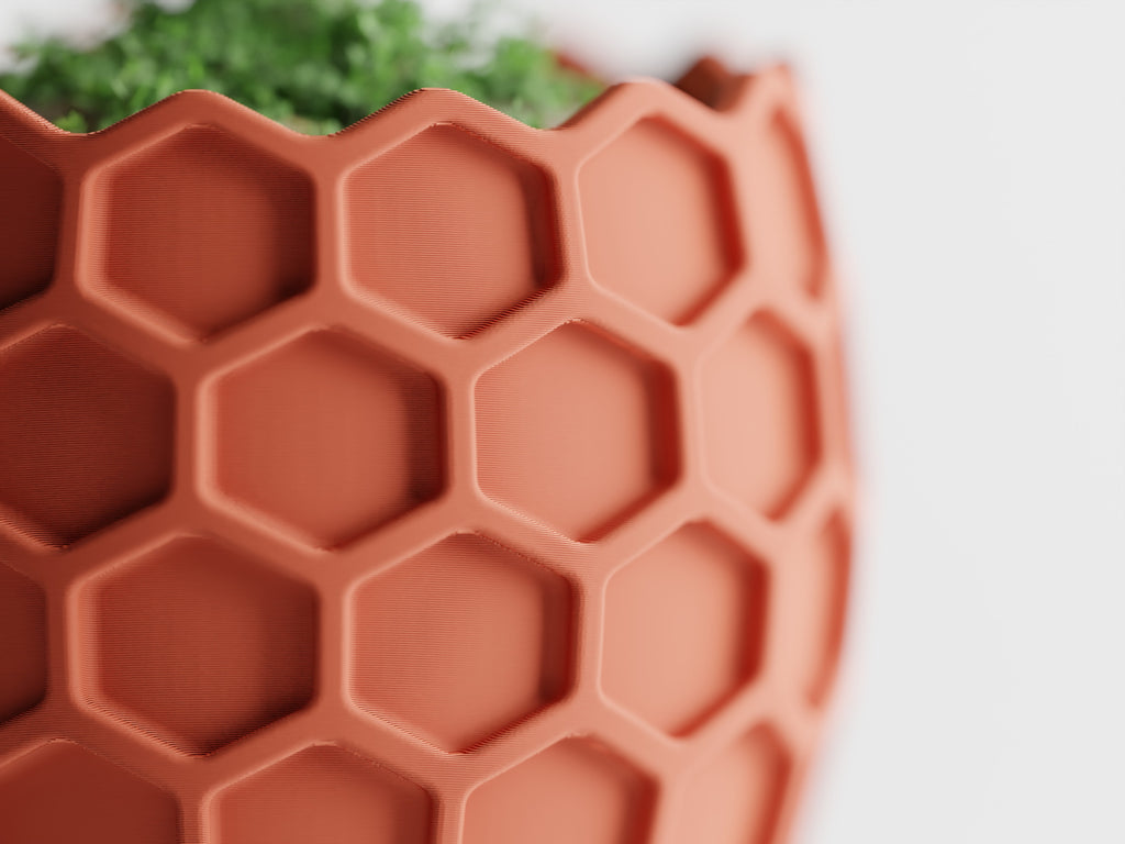 Beehavia – Buzzing with style. Rooted in nature.