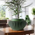 Caios Planter Pot