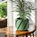 Cens Planter