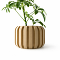 The Panu Planter Pot