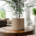Cheo Planter Pot