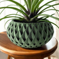 Cinor Planter