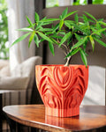 Corru Planter Pot