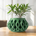 Cylas Planter