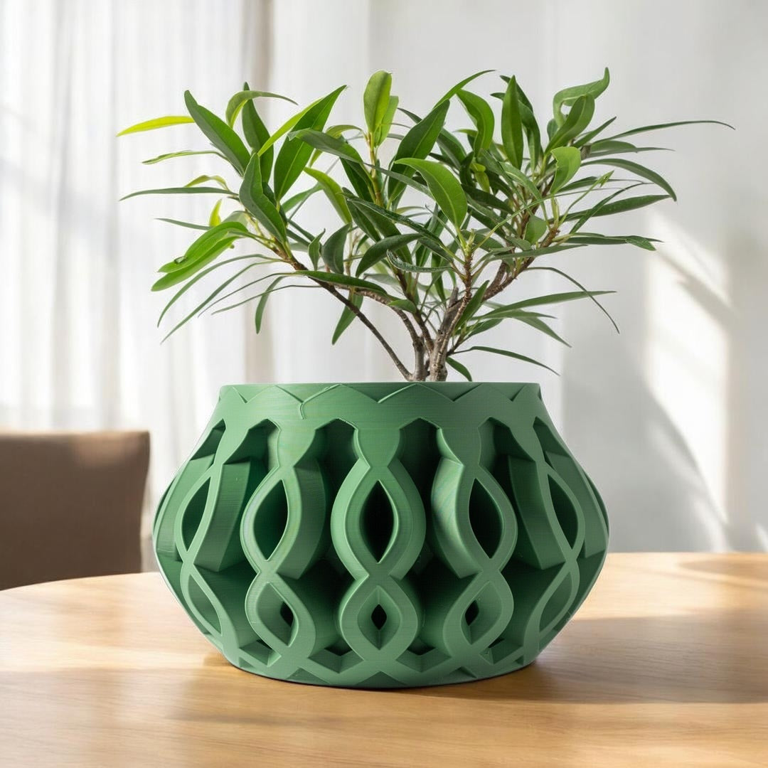 Cylas Planter