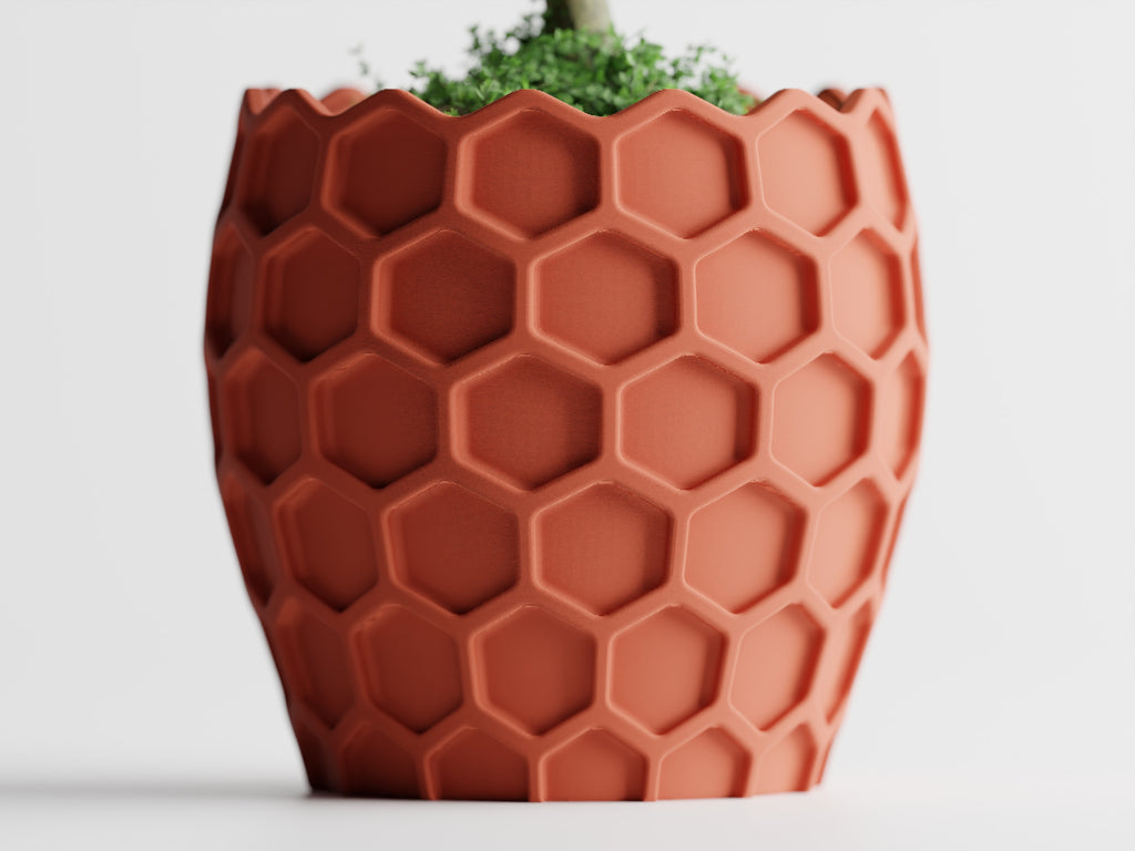 Beehavia – Buzzing with style. Rooted in nature.