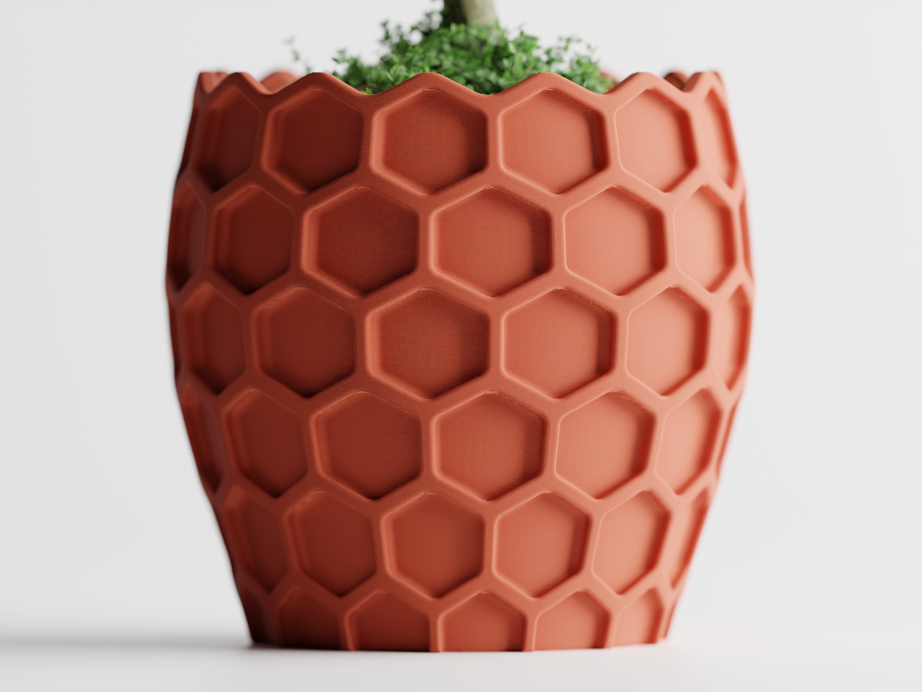 Beehavia – Buzzing with style. Rooted in nature.