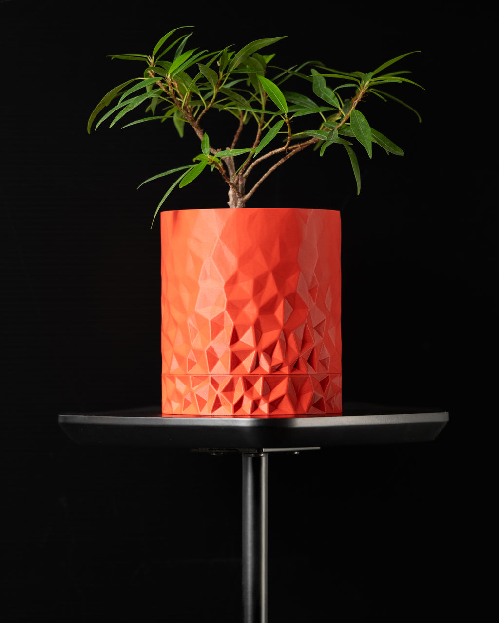 Voronoi Planter Pot
