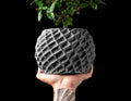 Planter Pot 002