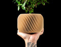 Planter Pot 005