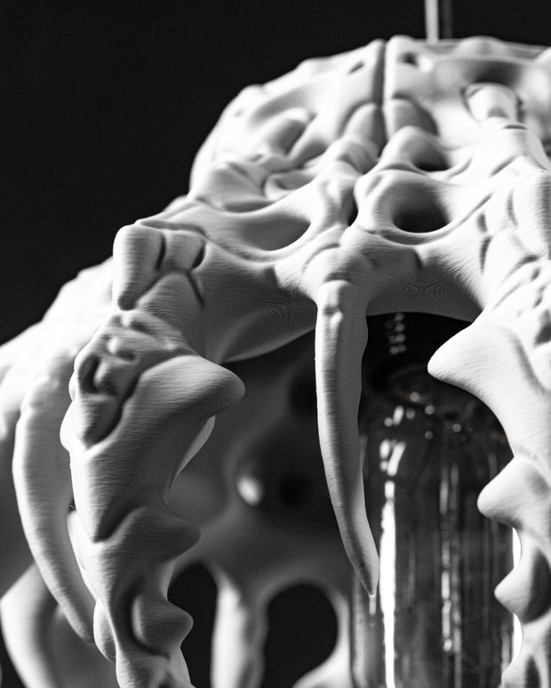 The Skeletal Pendant Lamp