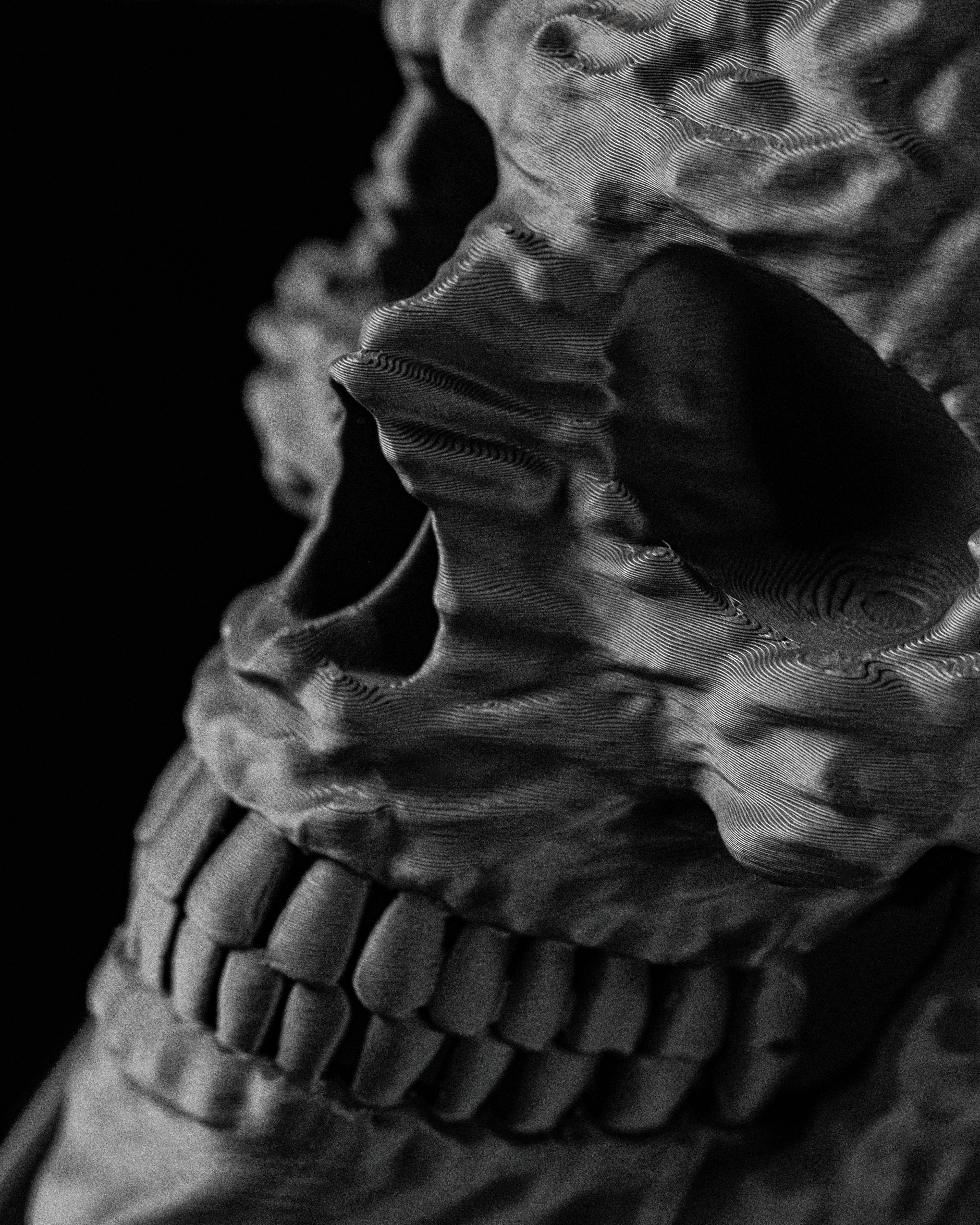 Skull Planter Pot