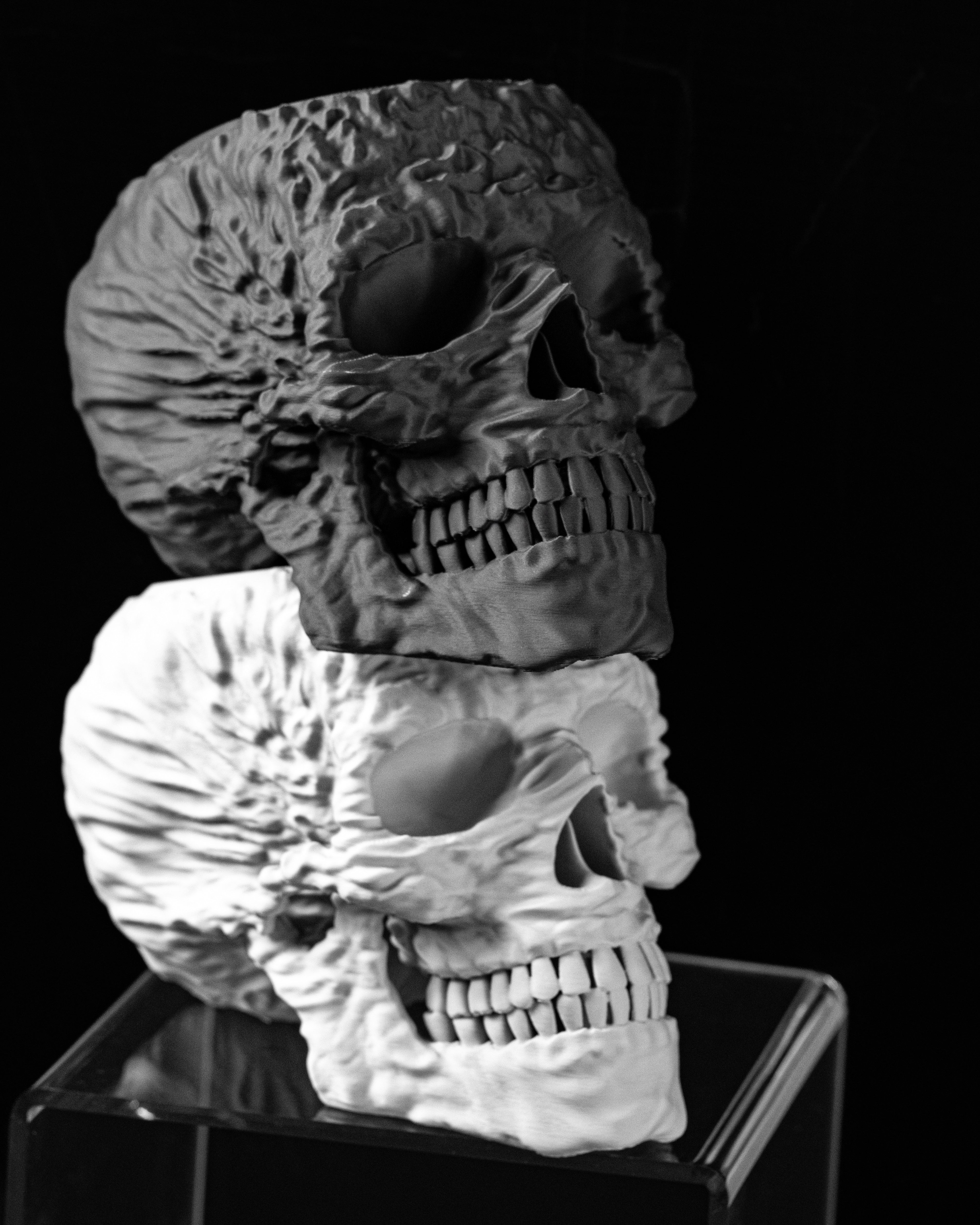 Skull Planter Pot