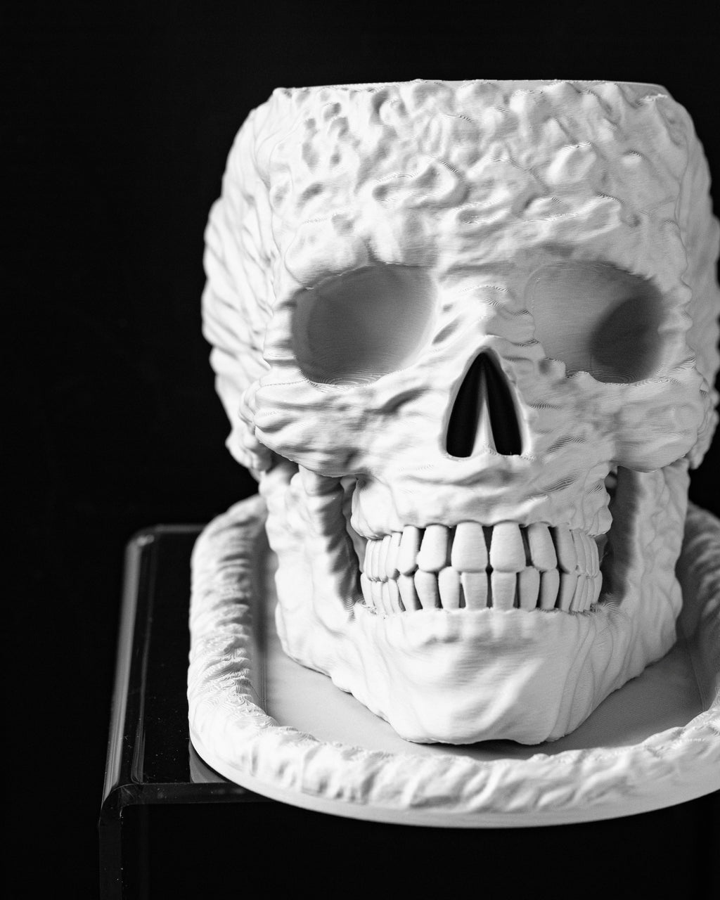Skull Planter Pot
