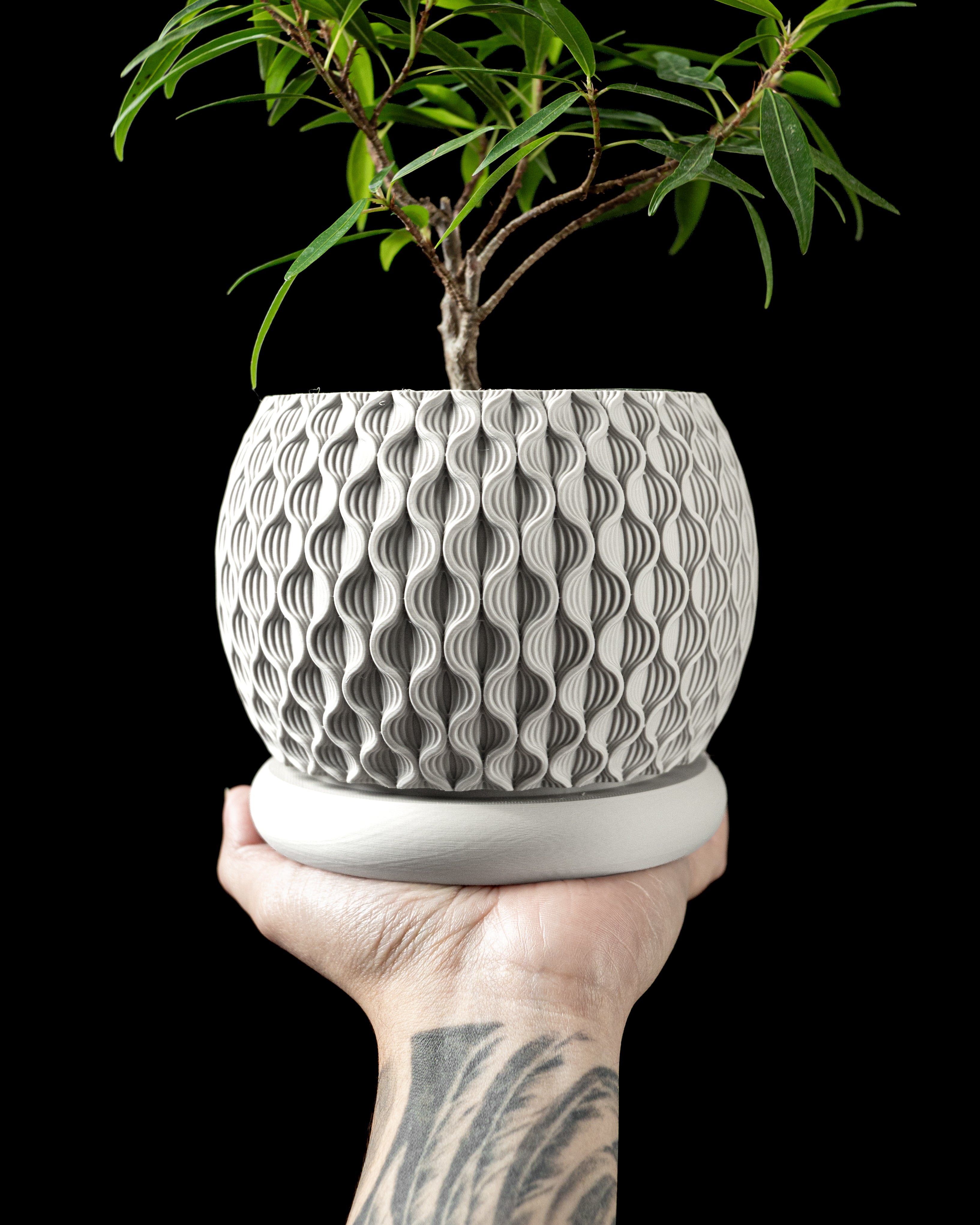 Bloom Planter Pot