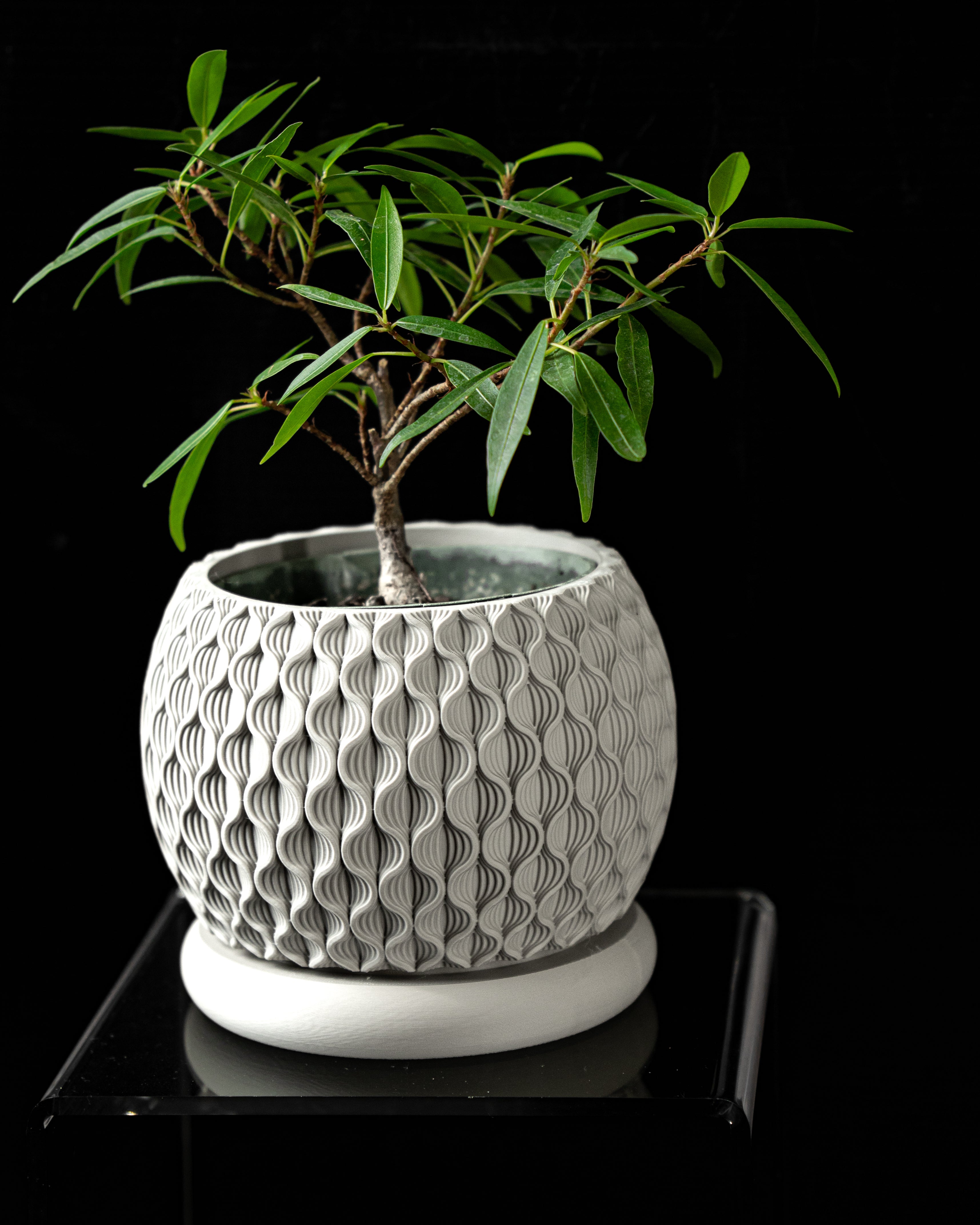Bloom Planter Pot