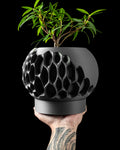 Virus Planter Pot