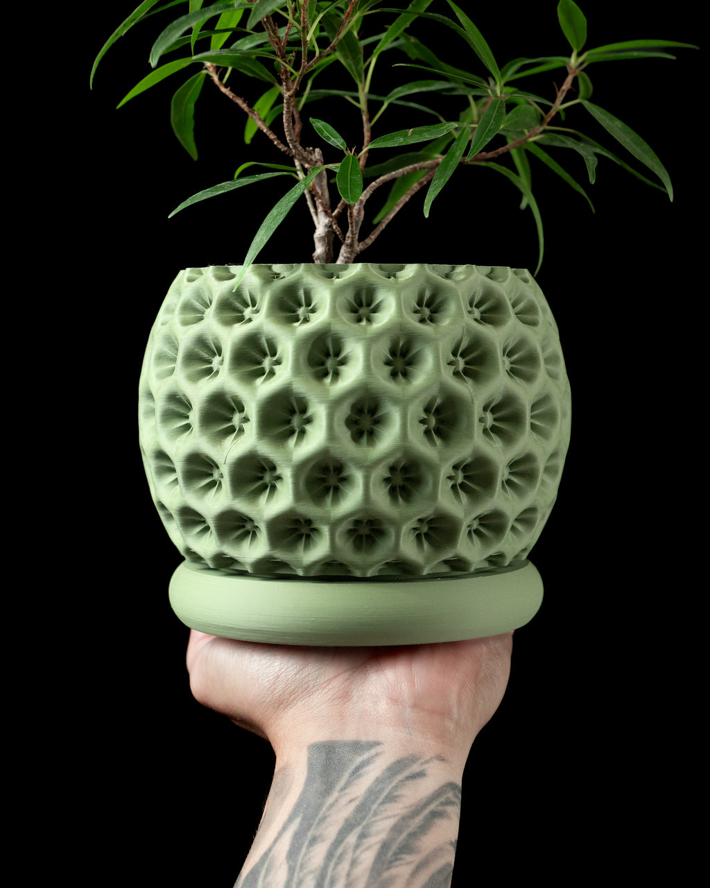 Starry Planter Pot