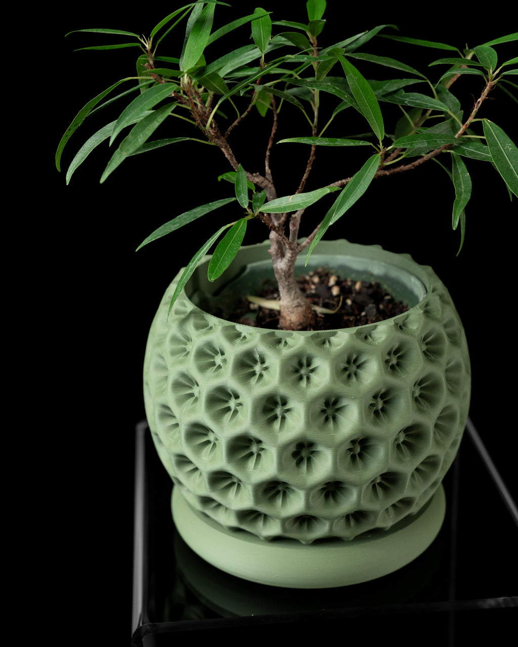 Starry Planter Pot