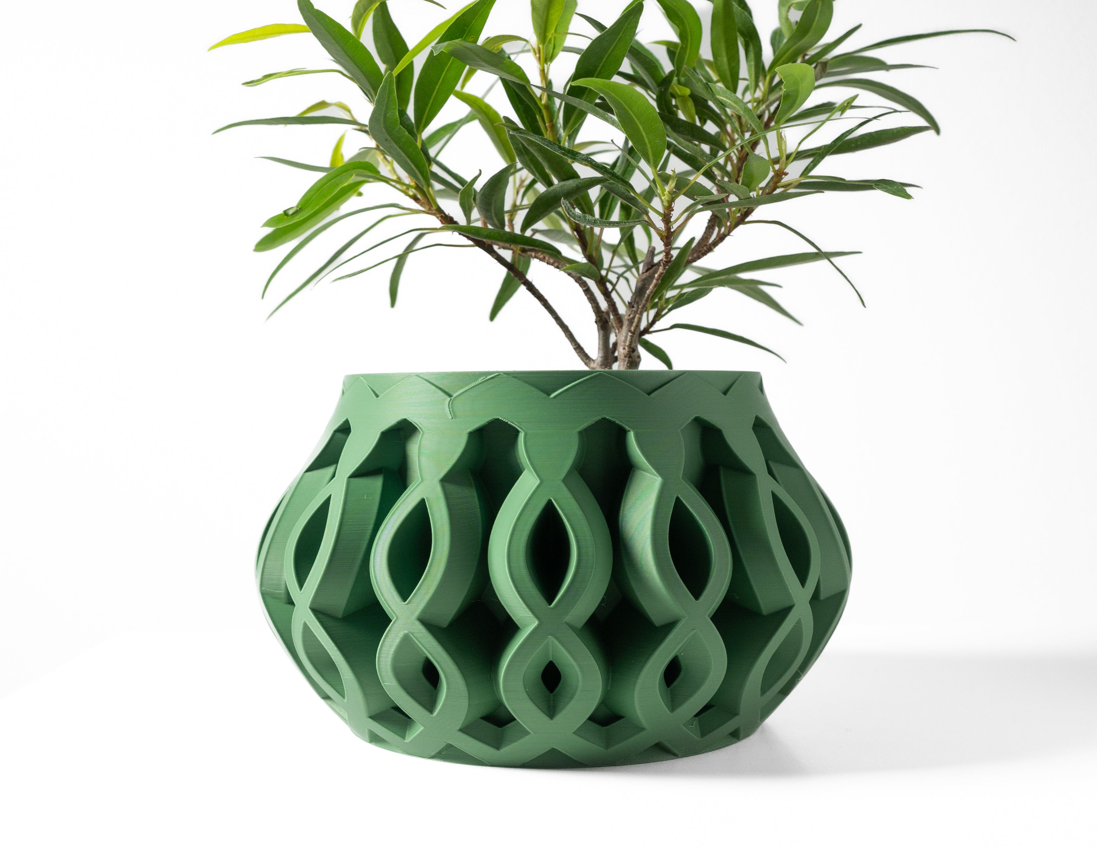 Cylas Planter