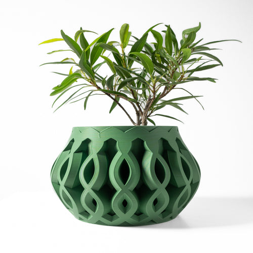 Cylas Planter