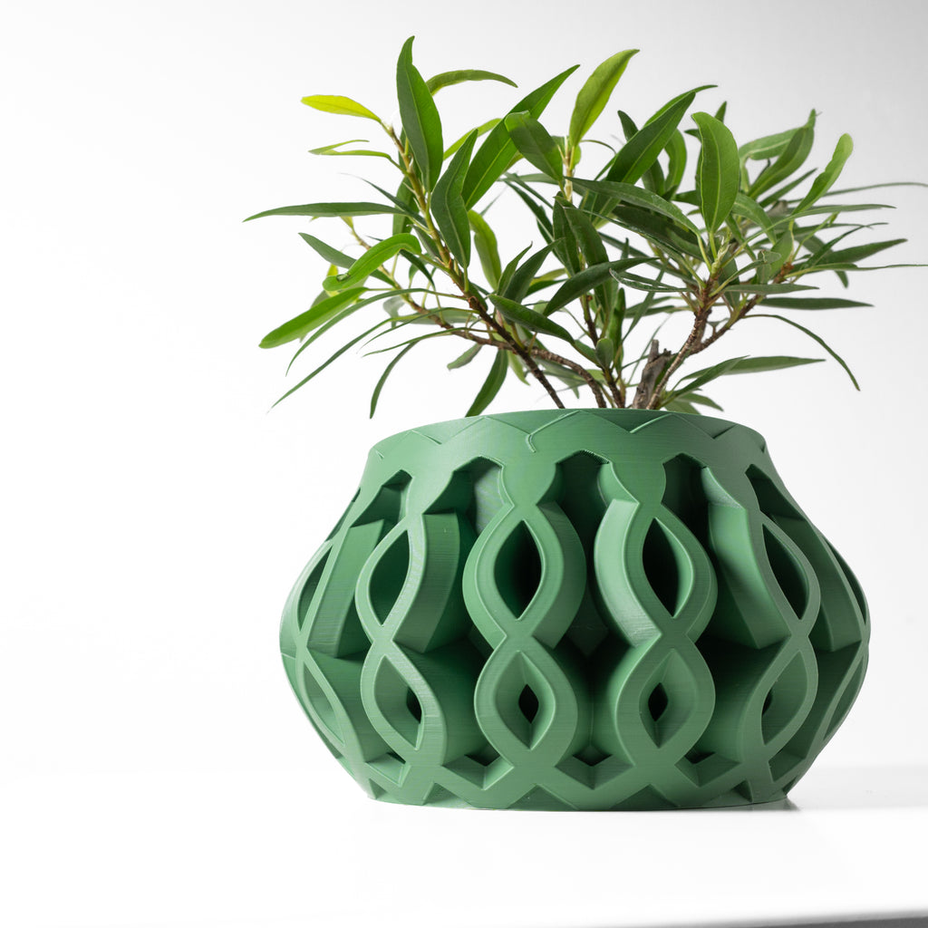 Cylas Planter
