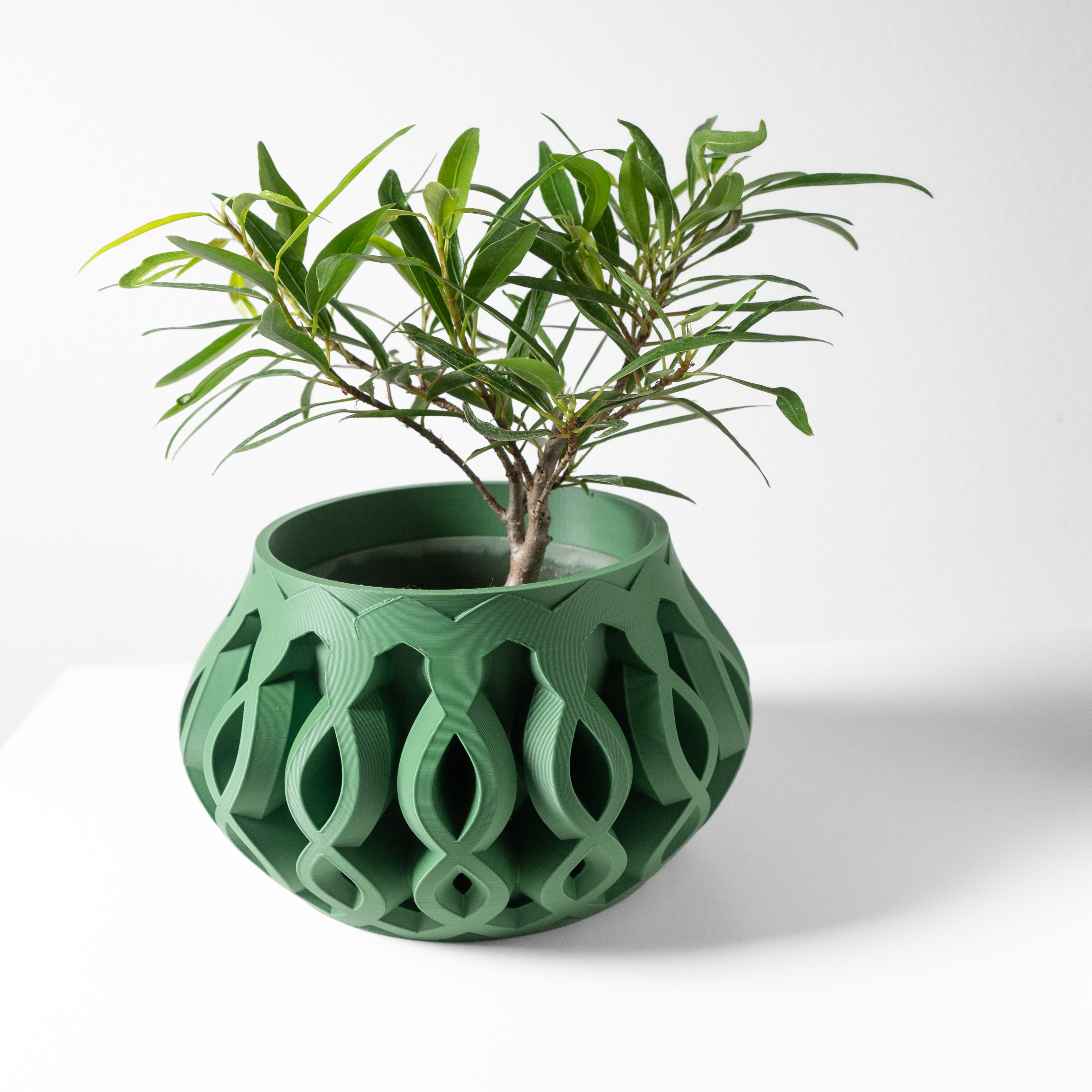Cylas Planter
