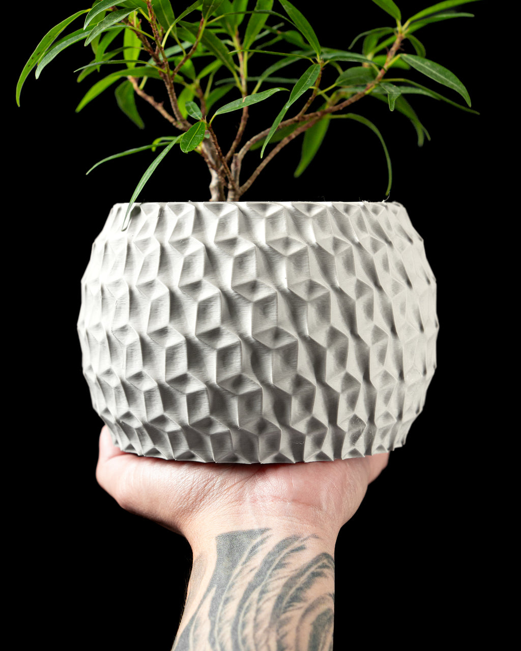 Hexa Planter Pot