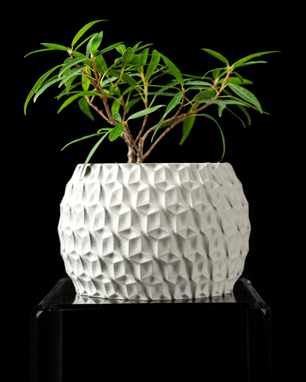 Hexa Planter Pot