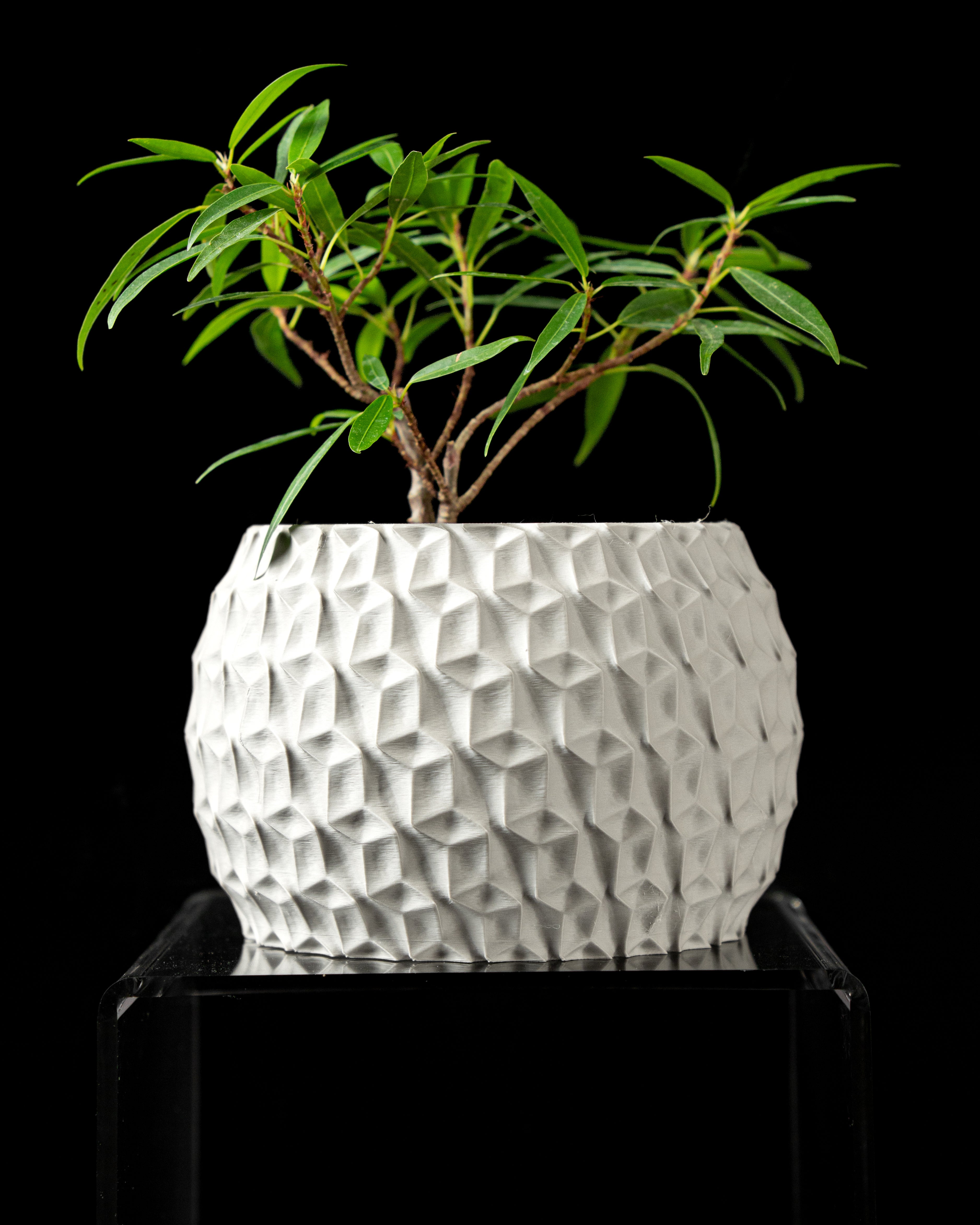 Hexa Planter Pot