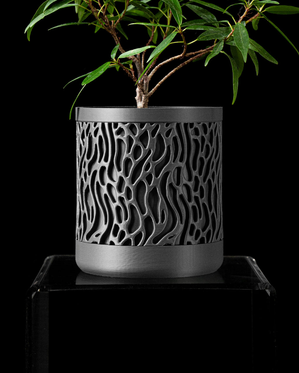 Grove Planter