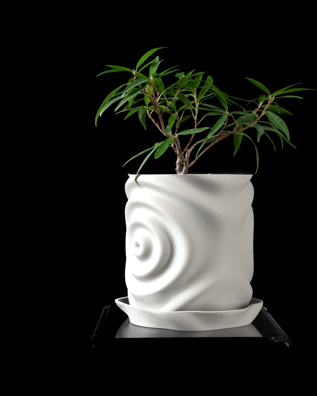 Waterdrop Planter Pot