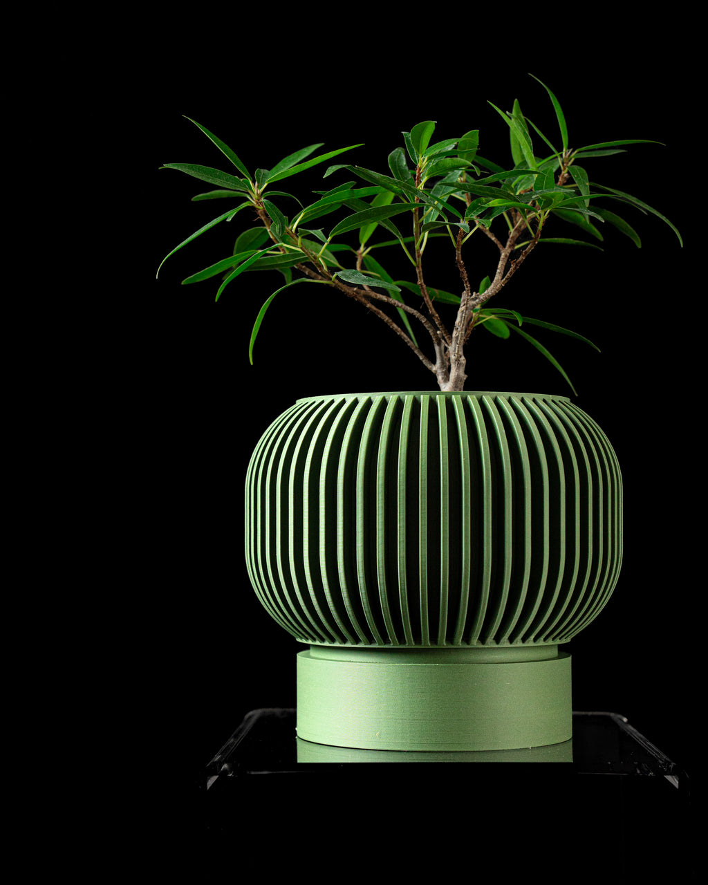 Yuso Planter Pot 02
