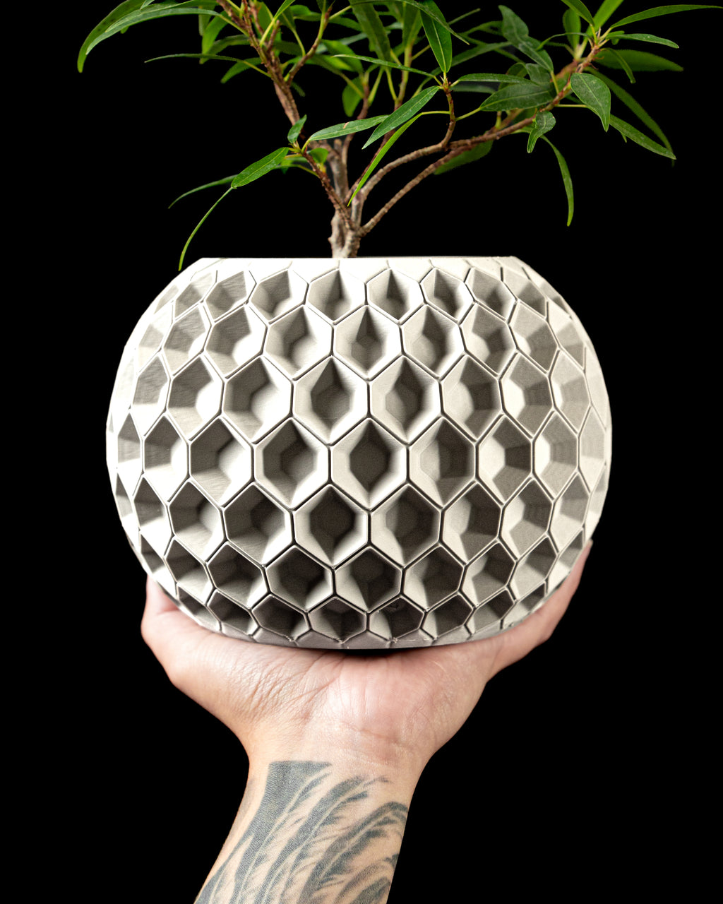 Hexa Planter Pot 02