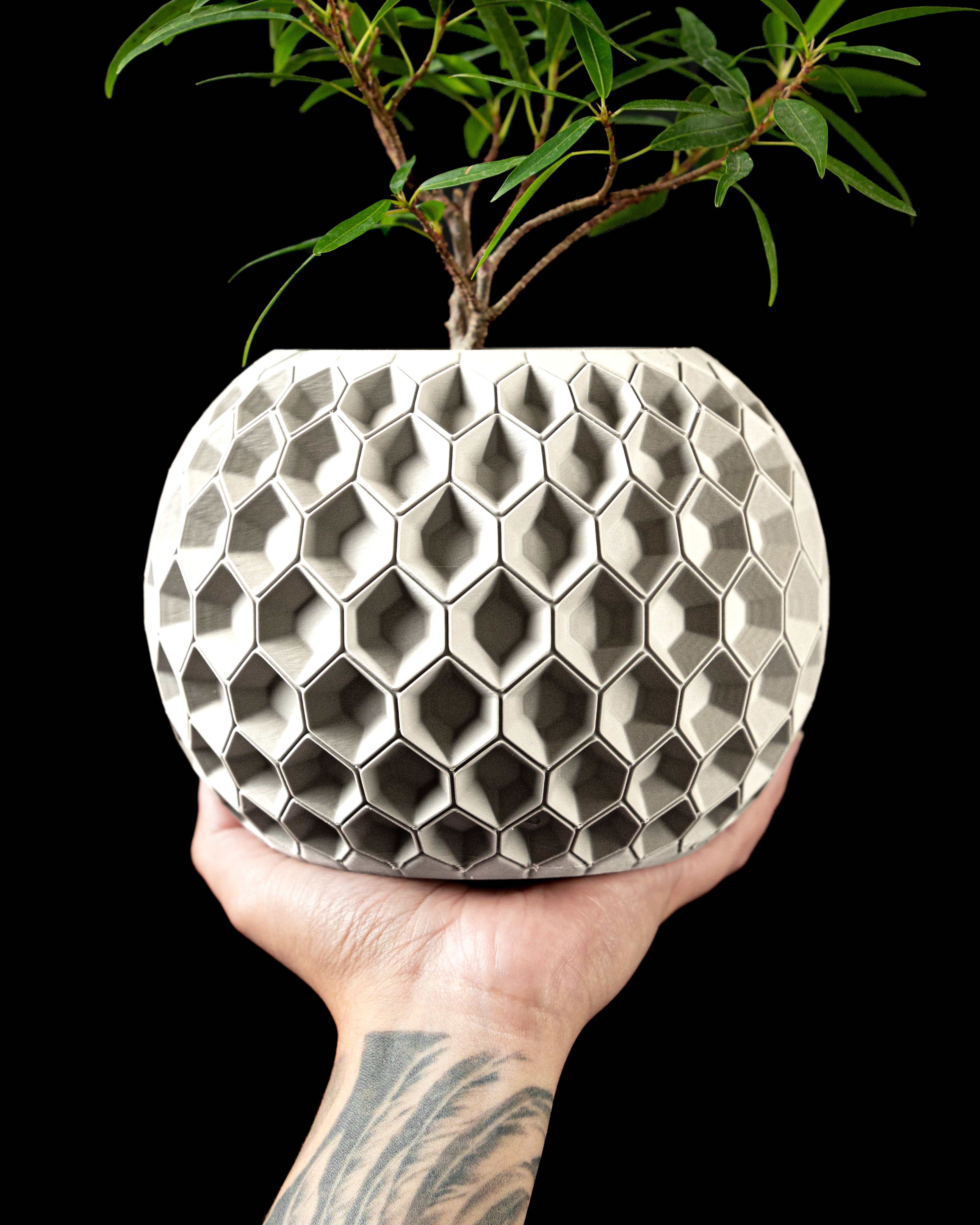 Hexa Planter Pot 02
