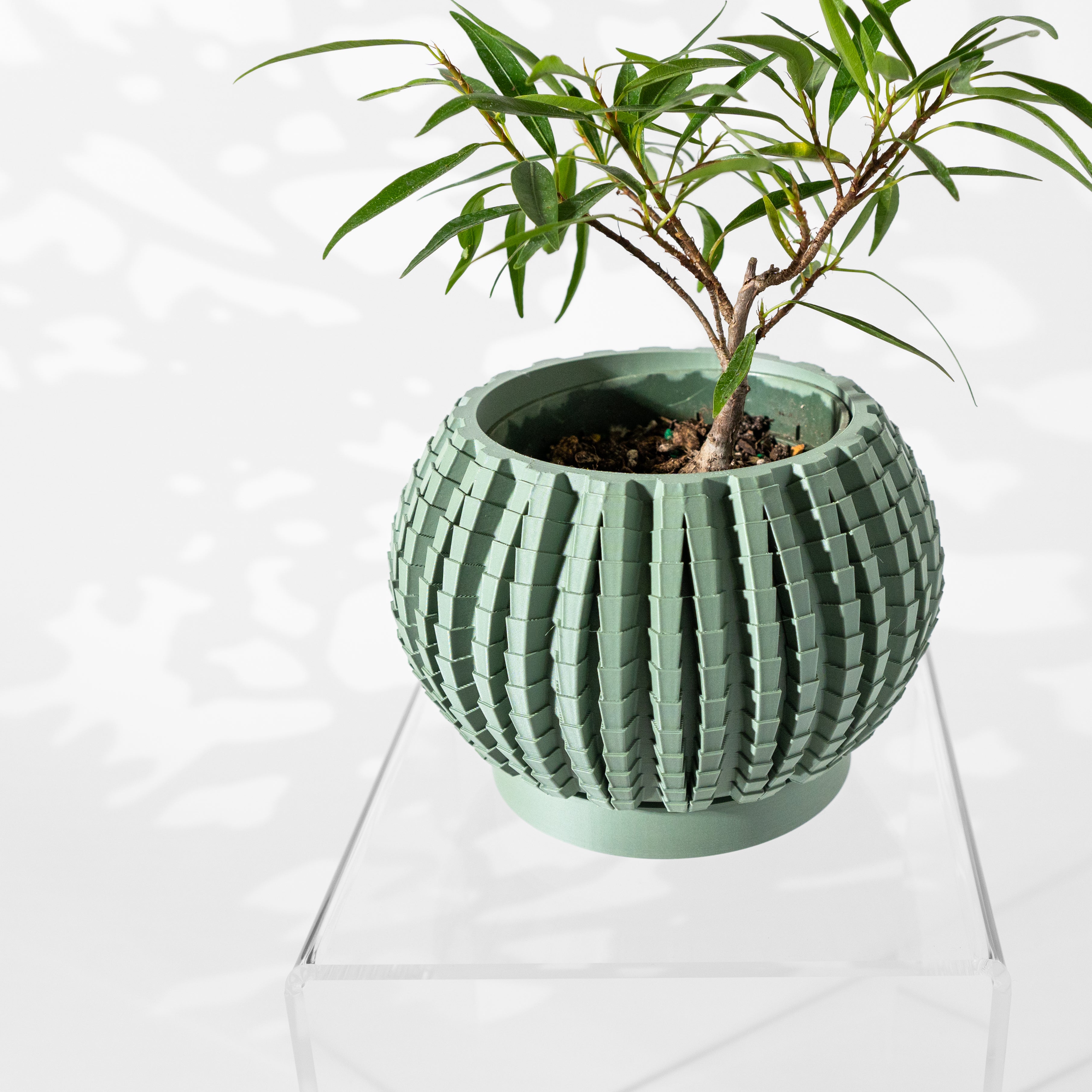 Uralo Planter