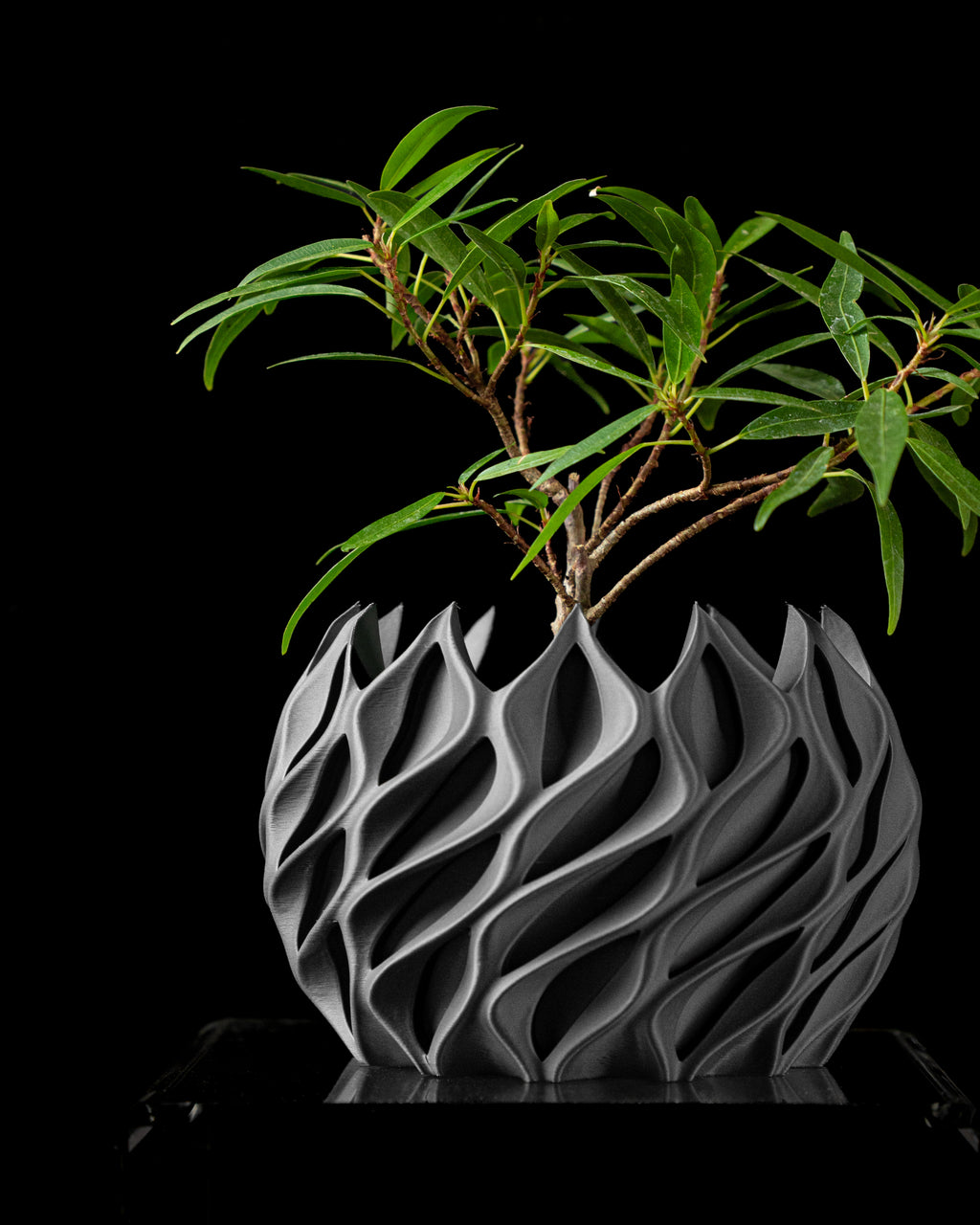 Twisted Planter Pot