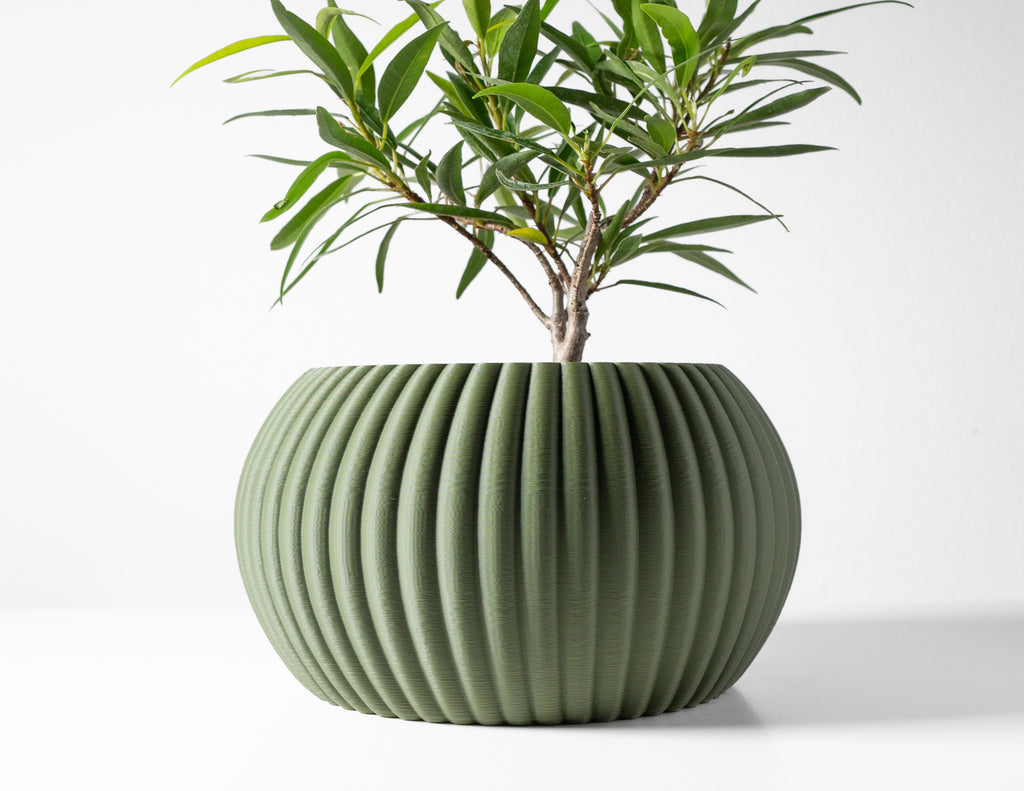 Roni Planter